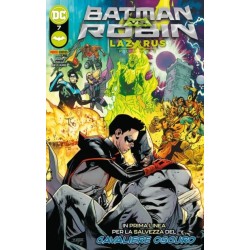 BATMAN VS ROBIN 7